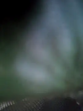 Georgette466 online show from 04.18.26