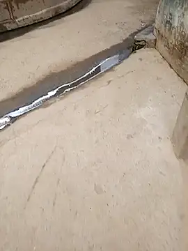 Snapshot of Pandey0012 chatting on 10.28.25 Pandey0012 online show from 10.28.25