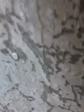 3zekie1 online show from 10.28.25