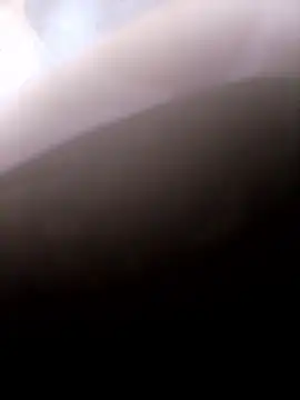 pino870 online show from 01.14.26