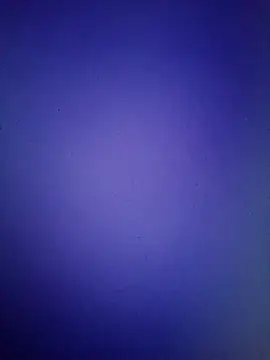 Pallu Asha online show from 03.16.26