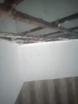 Pallu Asha online show from 03.19.26