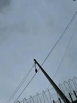 Samantha firee online show from 04.13.26