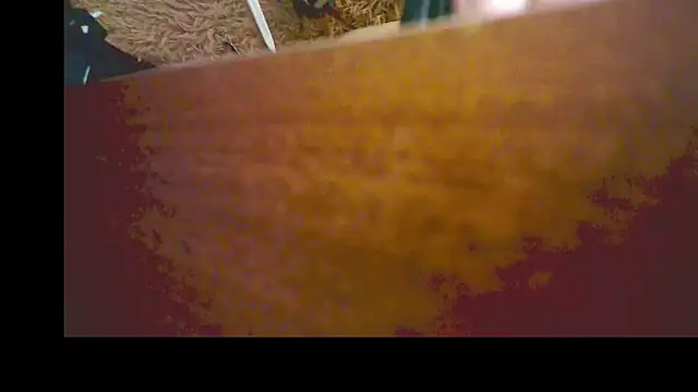 YoungStallionXL online show from 03.05.26