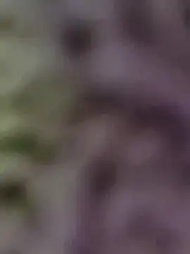 Hot-Sana2 online show from 01.13.26