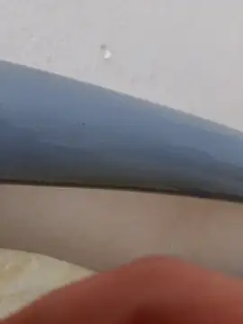 Snapshot of Brigitta886 chatting on 11.01.25 Brigitta886 online show from 11.01.25