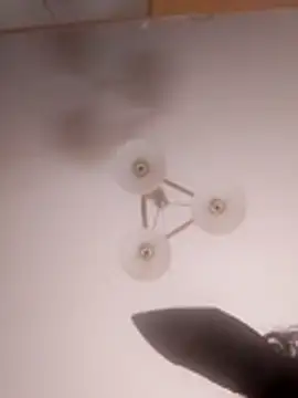 Snapshot of Brigitta886 chatting on 03.31.26 Brigitta886 online show from 03.31.26