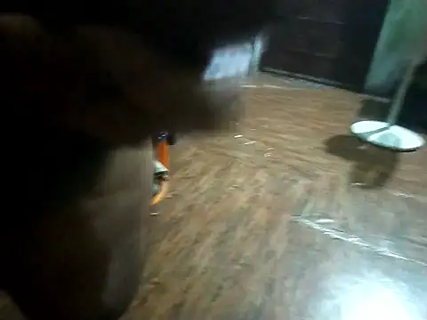 BdTinyDick online show from 11.11.25