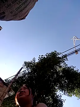 Bee-bgolden online show from 11.26.25