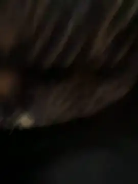 caramello-48888 online show from 04.07.26