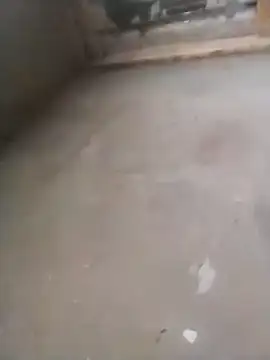 Lollittaxxxx2 online show from 11.11.25