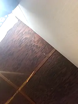 Snapshot of Cootercrammer69 chatting on 11.14.25 Cootercrammer69 online show from 11.14.25