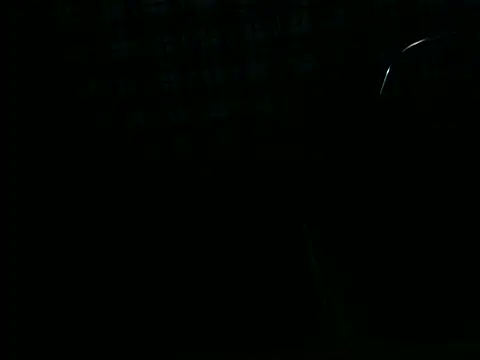 ellsaBunny online show from 11.06.25