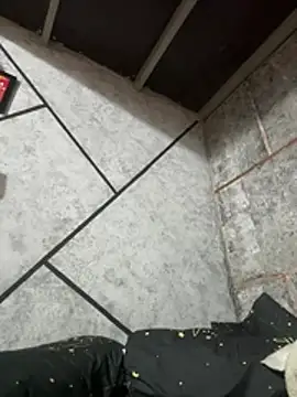 Dilen 7533 online show from 03.12.26