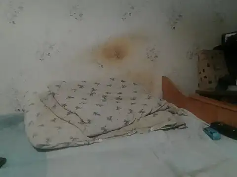 Kreol69 online show from 11.19.25