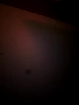 Snapshot of mixedswanger chatting on 11.24.25 mixedswanger online show from 11.24.25