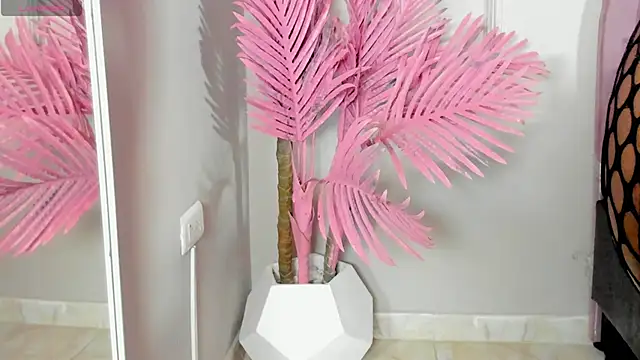 Snapshot of Tamaramilleer chatting on 02.02.26 Tamaramilleer online show from 02.02.26