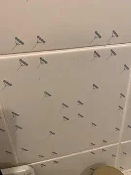 takekichi online show from 03.25.26