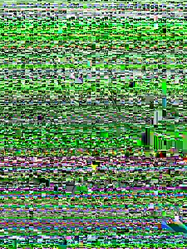 Kobhaktabhay online show from 11.08.25