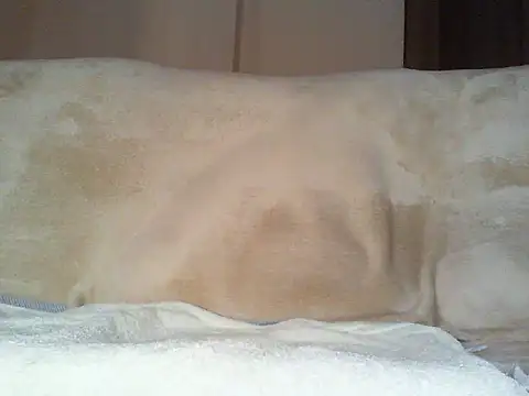 Cumlover5534 online show from 03.02.26