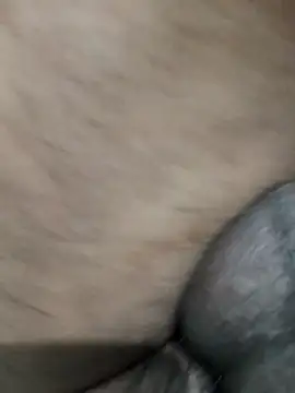 LEOMEGHA2026 online show from 11.19.25