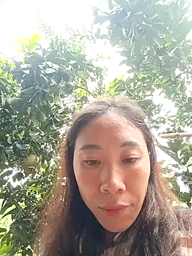 -Chua-90 online show from 11.21.25