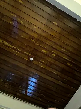 toda tua25 online show from 11.11.25