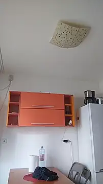 Snapshot of Dale_E chatting on 01.28.25 Dale E online show from 01.28.25