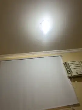 olicaroo online show from 11.19.25