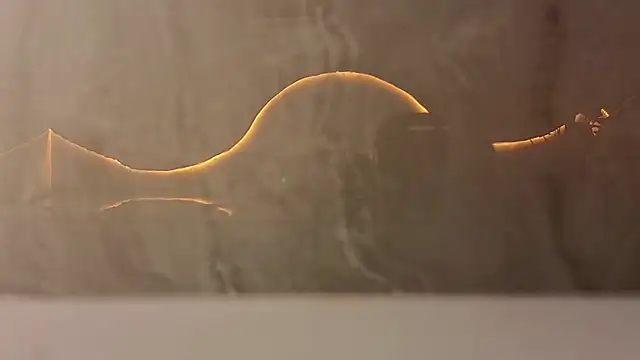 samy tp online show from 12.05.25