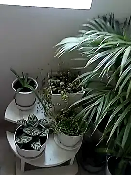 Snapshot of Rouse_hot_ chatting on 01.10.26 Rouse hot online show from 01.10.26