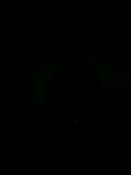 Snapshot of 56849 chatting on 11.16.25 56849 online show from 11.16.25