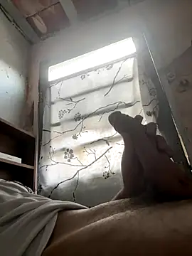 Snapshot of 24_c chatting on 12.02.25 24 c online show from 12.02.25