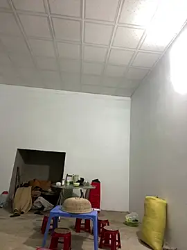 pitty mymi online show from 03.17.26