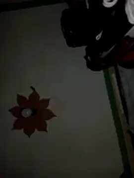 honeypot224 online show from 03.15.26