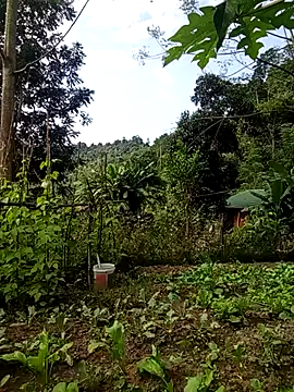 Rose-rose1234 online show from 11.21.25