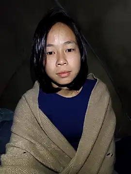 Cat-meow online show from 11.28.25