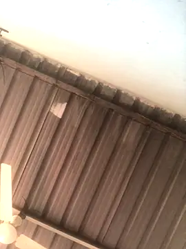 sexguruxxx online show from 11.19.25