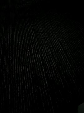 Playboy pune  online show from 11.25.25