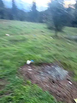 Locotre22 online show from 11.18.25