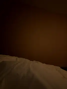 case2497 online show from 01.06.26