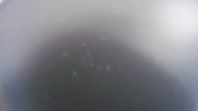 Noah Greenhart online show from 01.15.26