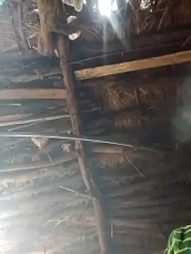 Xxx suhana online show from 02.02.26