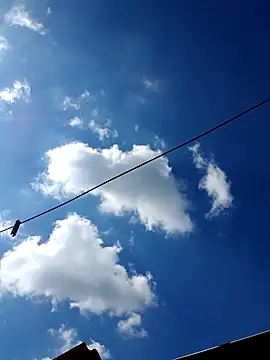 Eezxxx online show from 12.17.25