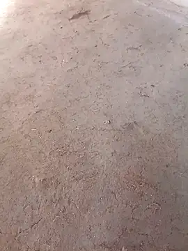 Nandani-758 online show from 12.02.25