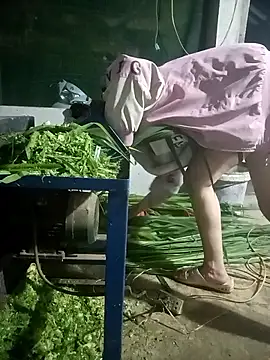 nangmo online show from 03.07.26