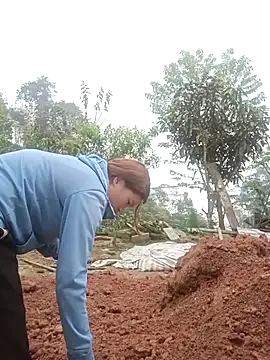 nangmo online show from 03.12.26