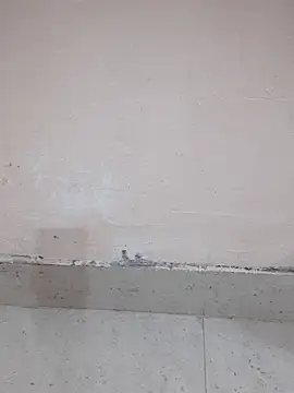 Alli8900 online show from 03.19.26