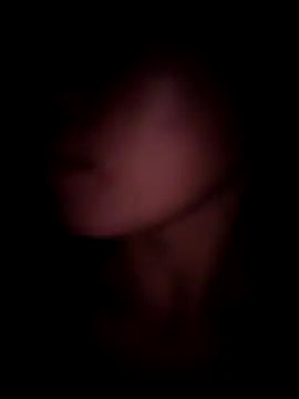 meganmeo online show from 11.24.25