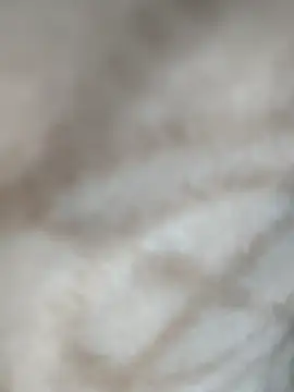 jiniya6789 online show from 01.11.26